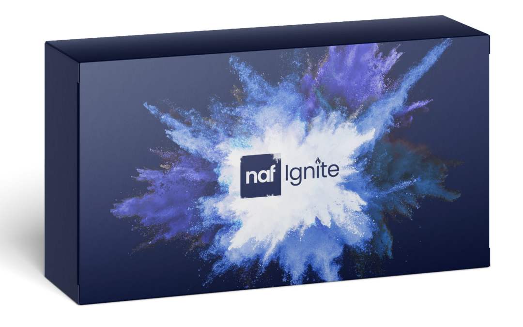 NAF Ignite Day Assets